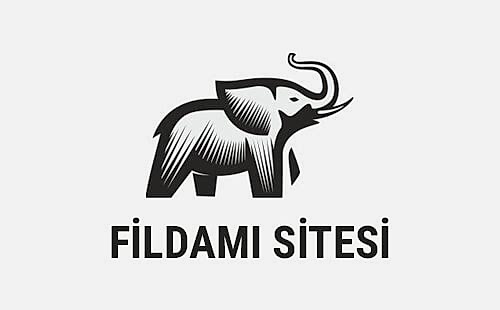 fildamı sitesi güvenlik