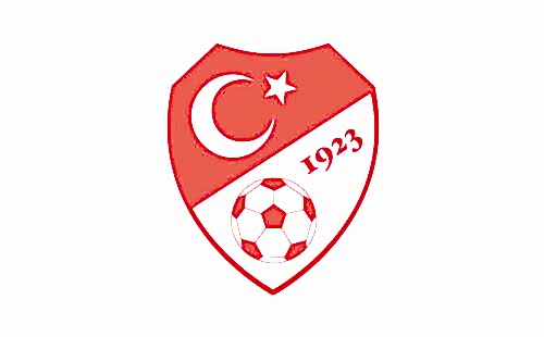 türkiye futbol federaasyonu özel güvenlik