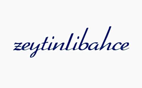 zeytinlibahçe güvenlik